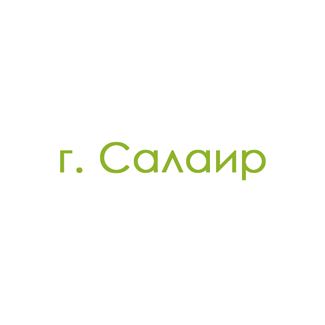 г. Салаир (0)